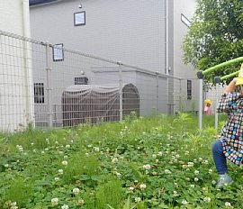 2606月写真19